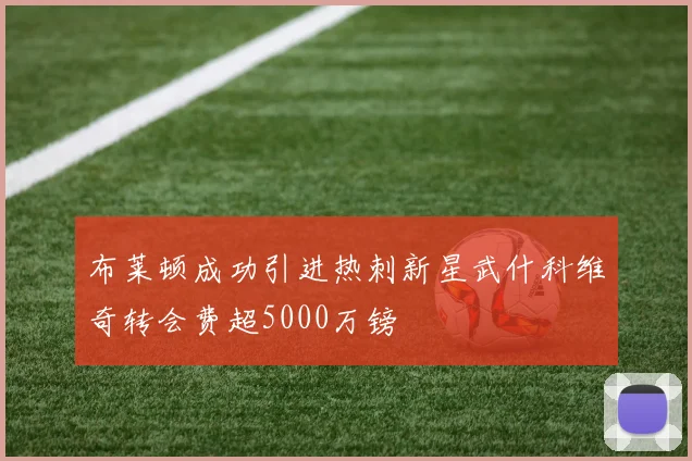 布莱顿成功引进热刺新星武什科维奇转会费超5000万镑